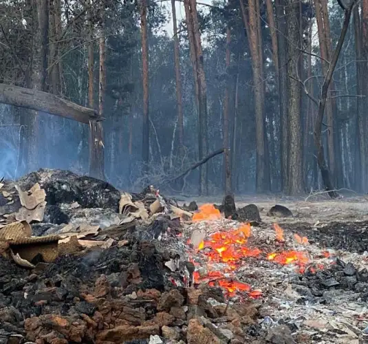 МЧС наращивает силы для борьбы с пожаром в Костанайской области – Ильин