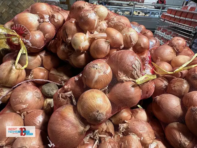 «В Казахстане спекулянты выкупают удешевленный лук» - Жумангарин