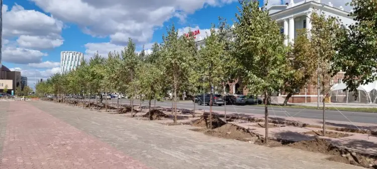 Липа акимата: На центральной площади в Нур-Султане высаживают деревья – фото