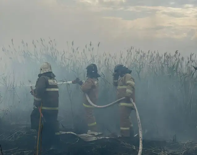 Пожар под Астаной не удается потушить, на помощь едут пожарные из двух областей 