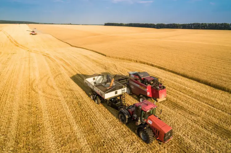 Битва за урожай, план развития Экибастуза - live-заседание Правительства РК