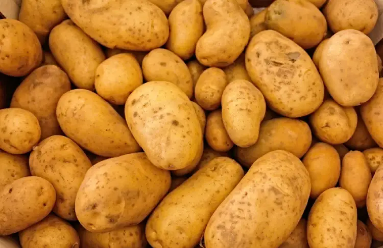 Казахстану хватит собственного урожая картофеля - министр Сапаров