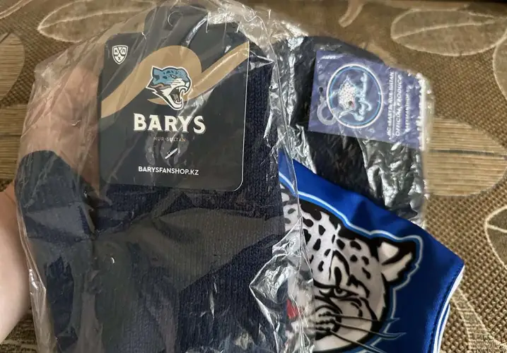 Сделай прогноз по "Барысу" и получи бесплатные призы