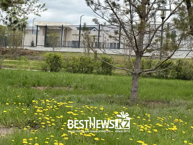 Погода в Астане, Алматы, Шымкенте на 1-3 августа