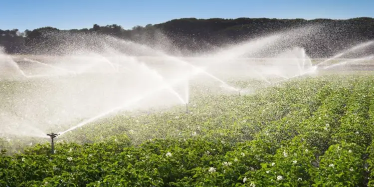 Кызылординской области предоставят 1 млрд тенге из резерва Правительства