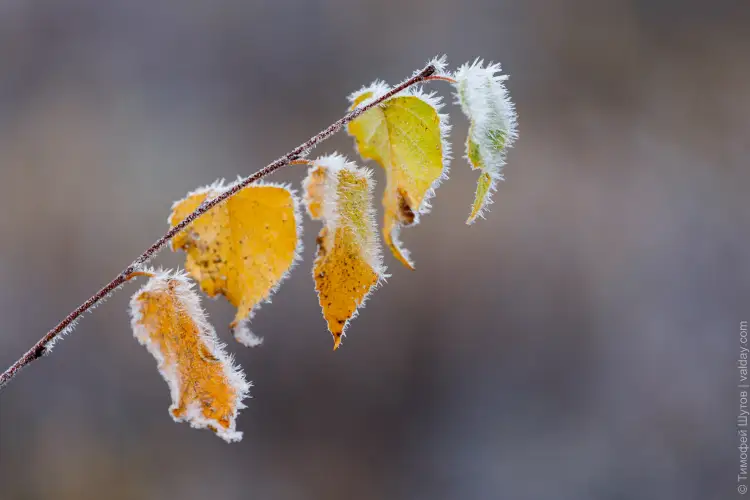 Заморозки даже в Туркестане: погода по Казахстану на 22 октября