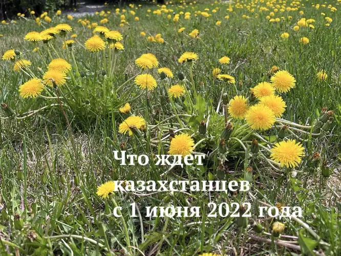 Прибавка к пенсиям, референдум, лето: что ждет казахстанцев с 1 июня 2022 года