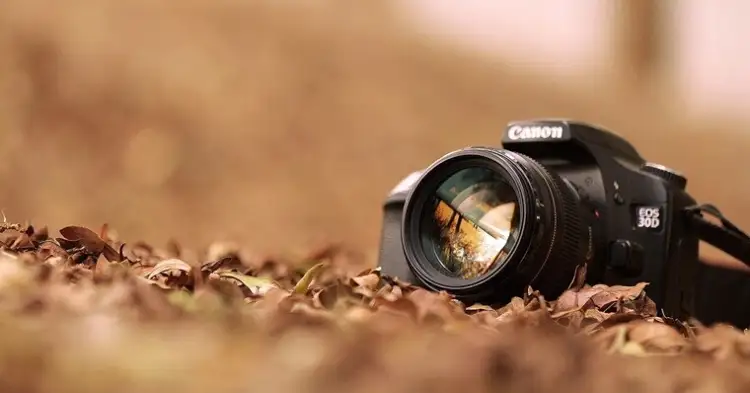 Праздники и события на 12 июля