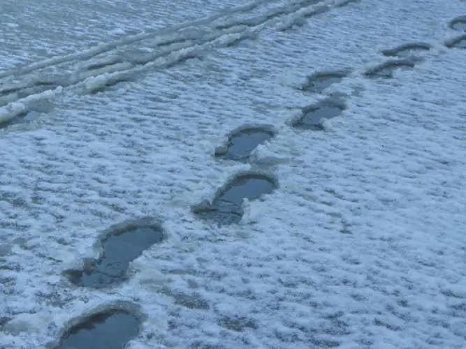 Жителей Алматы предупредили о проливных дождях