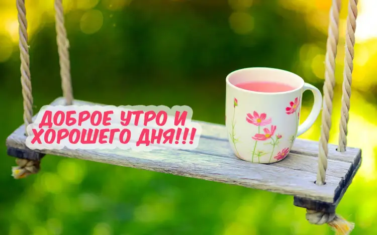 С добрым утром, желаем прекрасного дня!