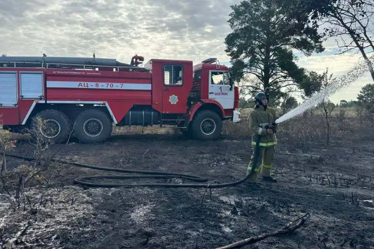 Как тушили пожар в Наурзумском заповеднике Костанайской области