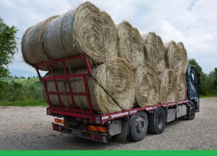 Оснований для объявления режима ЧС в Мангистауской области нет - акимат