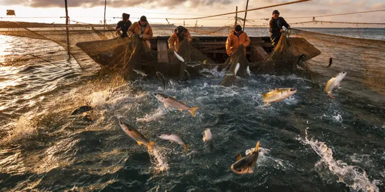 Ежегодно в Казахстане вылавливается до 45 тысяч тонн рыбы – Брекешев