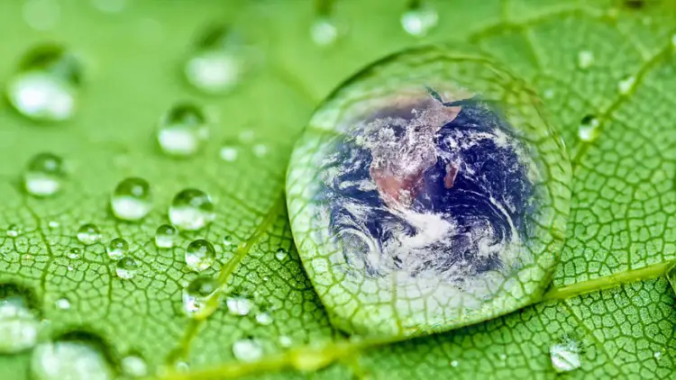 В казахстанских школах появится новый предмет