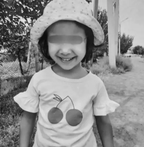 В Туркестанской области убили 5-летнюю девочку, Глава государства дал поручения Генпрокуратуре и МВД