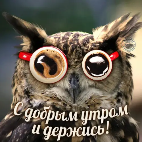 Bestnews.kz напоминает - пятница пришла