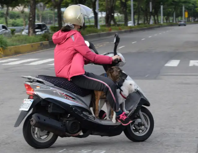 Парламент Казахстана увеличил штраф за «байгу» на дорогах и обязал к регистрации мопеды