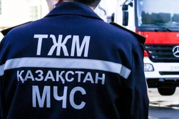 В Астане загорелся склад зоотоваров