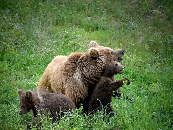 Зоопарк Алматы побил рекорд по посещаемости