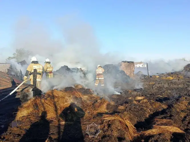 В Костанайской области сгорели хозпостройки и сено