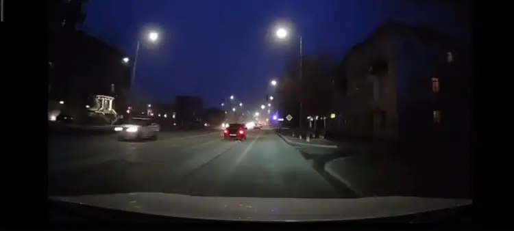 В Атырау водитель, протащивший собаку на авто, попал под следствие