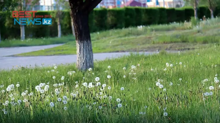 Без осадков: погода по Казахстану на 26 мая