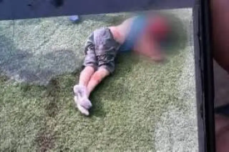 Псы растерзали мальчика: прокурор Алматинской области взял дело под личный контроль 