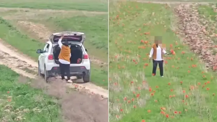 В Генпрокуратуре Казахстана назвали «суровым» штраф женщине за срыв краснокнижных тюльпанов