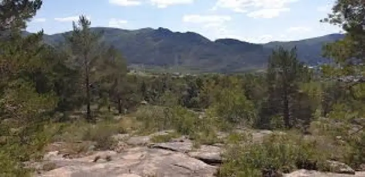 В Баянауле потушили загоревшийся сухостой