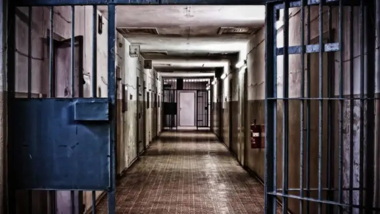 Порядка 5 тыс человек могут попасть в СИЗО после поправок о семейном насилии – МВД