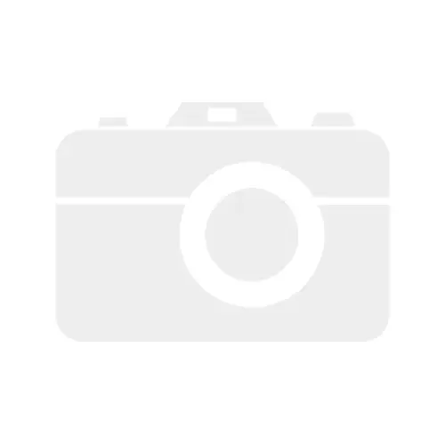 Женский труп в полиции Караганды: МВД создало спецгруппу для расследования