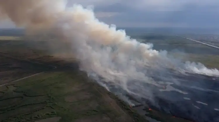 Видео: близ Нур-Султана продолжает гореть камыш - МЧС направил вертолет с водой