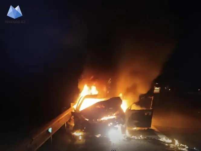 В ДТП в Акмолинской области заживо сгорели женщина, младенец и школьница