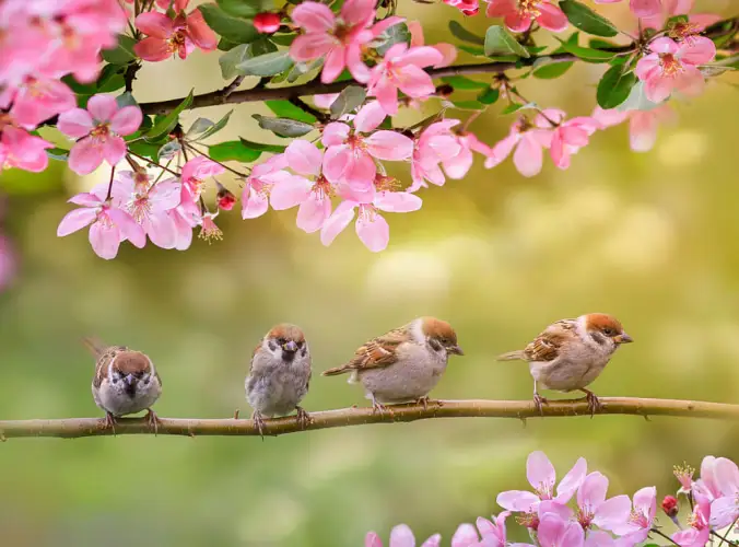 Сколько дней отдохнут на майские праздники казахстанцы