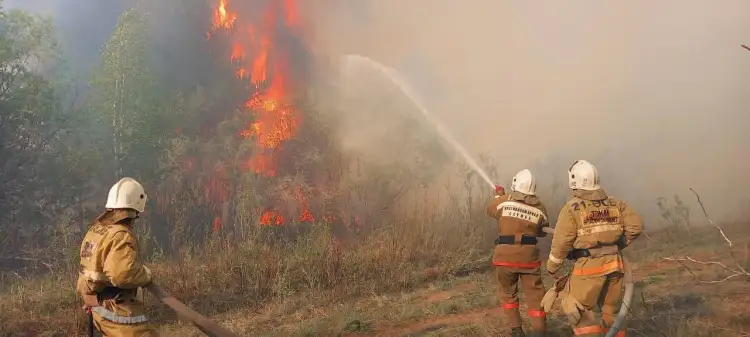 Сильный пожар в Абайской области: огонь пришел из России