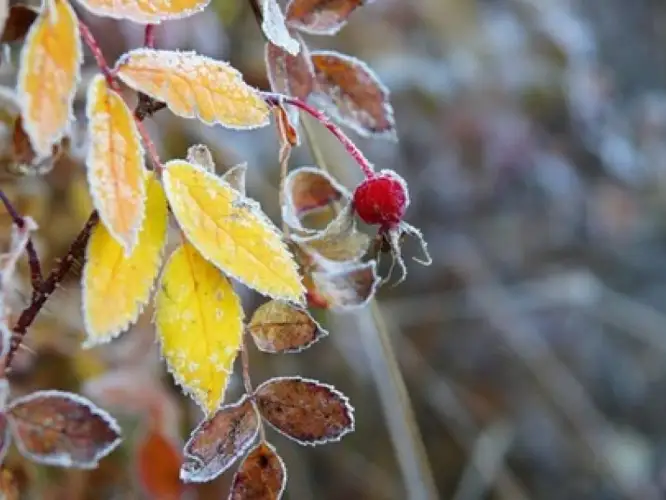 Похолодание и осадки: погода по Казахстану на 2-4 ноября