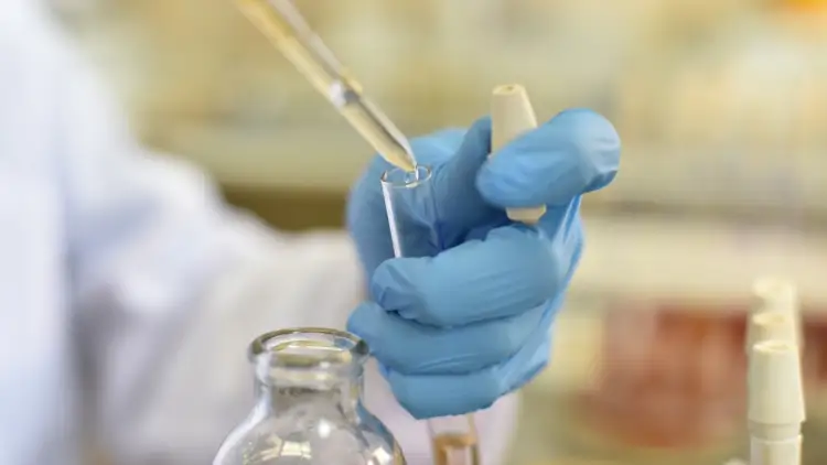 Цой информировал Президента Казахстана о новом штамме «Лямбда»