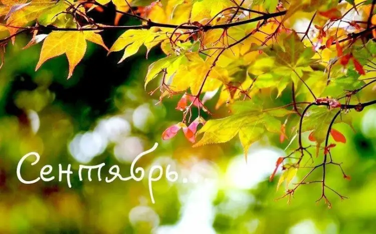 Bestnews.kz желает вам счастливого сентября! 