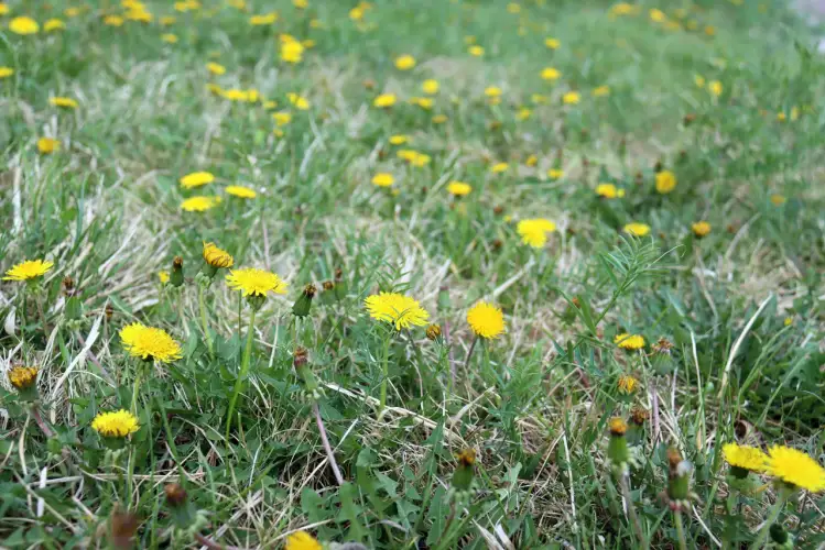 В Казахстане ожидается жара до +42